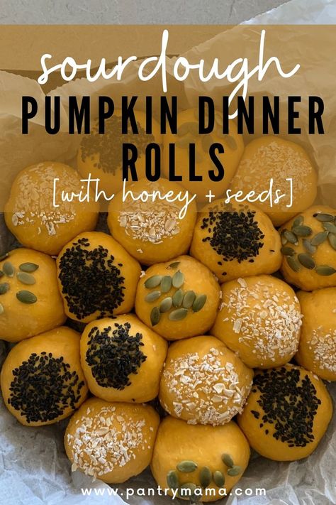 Sourdough pumpkin dinner rolls with honey and seeds - perfect for Thanksgiving. Sweetness of pumpkin and honey with a sourdough tang. Sweet Potato Sourdough Rolls, Pantry Mama Pumpkin Sourdough, Sourdough Pumpkin Dinner Rolls, Pumpkin Honey Dinner Rolls, Sourdough Pumpkin Spice Cinnamon Rolls, Thanksgiving Lunch, Sourdough Rolls, Sourdough Bread Sandwiches, Sourdough Starter Discard Recipe