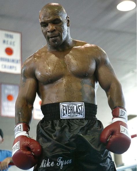 Mike Tyson Pfp, Mike Tyson Prime, Mohamad Ali, Boxing Legends, Mike Tyson Boxing, Arnold Schwarzenegger Bodybuilding, Schwarzenegger Bodybuilding, Boxing Images, Iron Mike