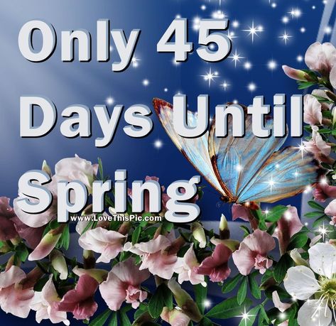 Only 45 Days Until Spring quotes spring quote spring quotes spring countdown Days Till Spring, Quotes Spring, Days Until Spring, Spring Quote, Spring Quotes, Spring Pictures, Facebook Image, Image Search, Photo Image