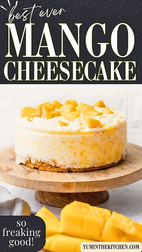 Looking for an easy, no bake dessert? Try this mango cheesecake recipe! It's creamy, refreshing, and features an easy graham cracker crust. Perfect for when you want a quick and delicious treat without turning on the oven. Ideal for summer parties or a family dessert night. Best Mango Cheesecake Recipe, Mango No Bake Cheesecake, No Bake Mango Cheesecake Recipes, Mango Desserts Recipes, Easy Graham Cracker Crust, Mango Cheesecake Recipe, No Bake Mango Cheesecake, Low Fat Cheesecake, Cheesecake Healthy