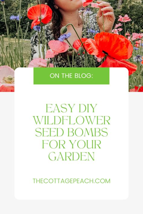 Transform your garden into a blooming paradise with these easy-to-make wildflower seed bombs! Discover how to create your own seed bombs using natural materials and a variety of wildflower seeds. Elevate your flower gardening game and add some natural beauty to your outdoor space today! #wildflowers #seedbombs #flowergardening #DIYproject #gardeningtips Nature Craft Ideas, Seed Balls, Nature Craft, Flowers Growing, Monarch Butterflies, Flower Gardening, Invasive Species, Top Soil, Sustainable Future