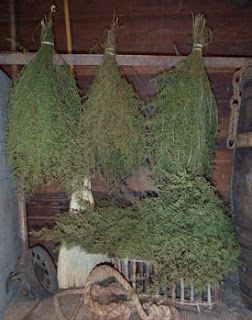 Flower Information, Drying Flowers, Sweet Annie, Crafts For Teens To Make, Herb Gardening, Dried Florals, Dried Herbs, Primitive Decorating Country, Primitive Crafts