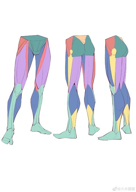 Leg Muscles Anatomy, Leg Reference, Leg Anatomy, Drawing Legs, Human Body Drawing, Anatomy Models, Anatomy Tutorial, Human Anatomy Drawing, Manga Drawing Tutorials