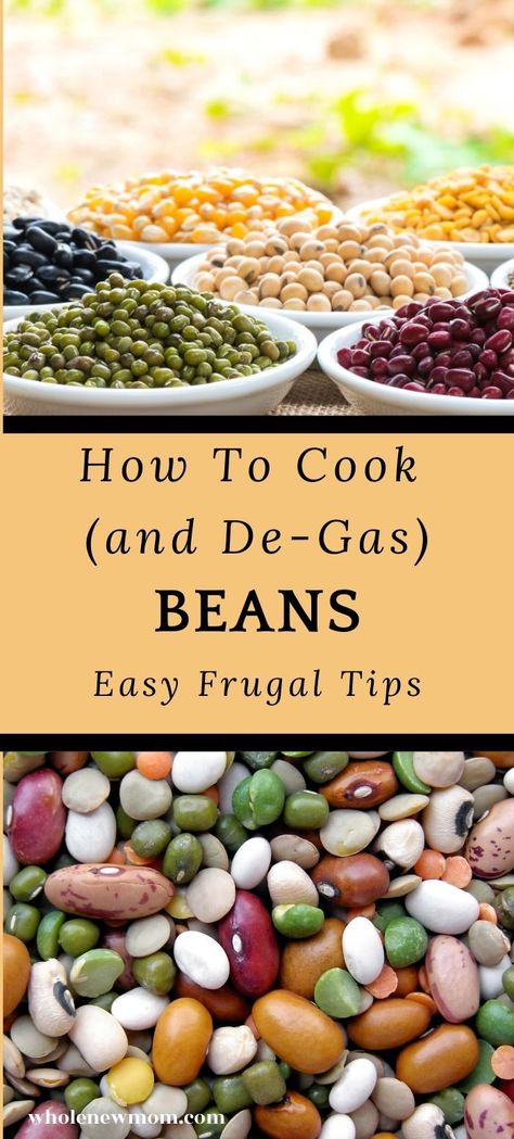 Beans Recipe Healthy, How To Make Beans, Dry Beans Recipe, Cooking Beans, Beans From Scratch, Cook Beans, Healthy Beans, Dry Beans, How To Cook Beans