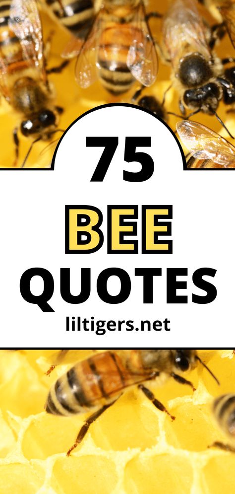 75 Best Bee Quotes and Inspirational Bee Sayings - Lil Tigers Quotes About Bees And Flowers, Bee Instagram Captions, Bee Jokes Funny, Bee Sayings Quotes, Bumble Bee Quotes, Bee Quotes Inspiration, Quotes About Bees, Bee Sayings, Bee Blessed