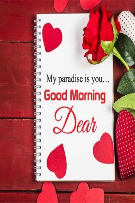 My paradise Is you #Good_Morning ▪️❤️▪️ Good Morning Couple, Good Morning Love You, Good Morning Handsome Quotes, Love Profile Picture, Good Morning Dear, Romantic Good Morning Messages, Latest Good Morning Images, Morning Sweetheart, Latest Good Morning