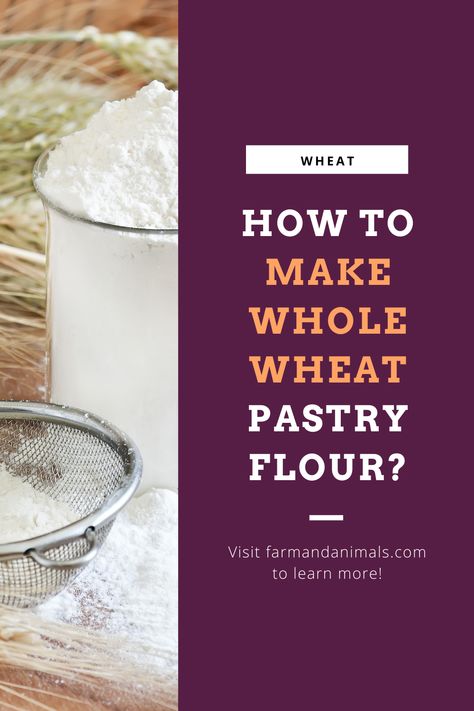 Many people desire the lighter texture that whole wheat pastry flour creates in baked goods. It differs from all-purpose flour in its nutritional content. It’s also milled from a different variety of wheat. If you are looking to learn how to make whole wheat pastry flour from your homestead, this is for you! Whole Wheat Pastry Flour, Farm Crops, How To Make Pastry, Simply Food, Flour Substitute, Wheat Berries, Pastry Flour, Whole Wheat Bread, Food Security