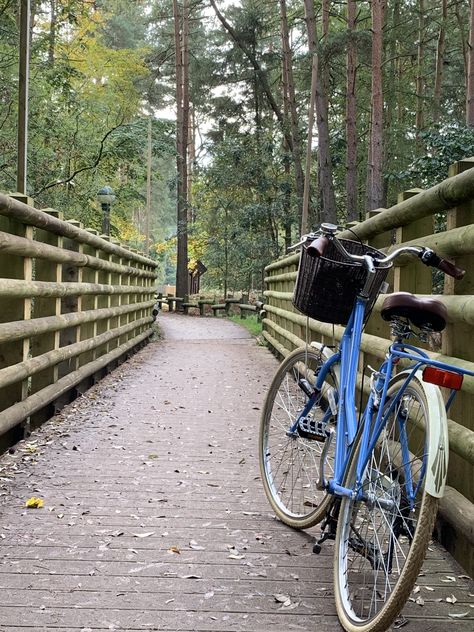 Centre Parcs Elveden, UK Centre Parcs Whinfell, Center Parcs Elveden, Centre Parcs Longleat, Centre Parcs Elveden, Centre Parcs, Bucket List Holidays, Center Parc, Centre Parks, Center Parcs