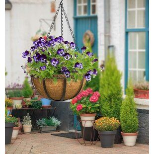 Sol 72 Outdoor Hance Wood Plant Pot | Wayfair.co.uk Wood Barrel Planters, Planter Box With Trellis, Metal Wall Planters, Plastic Planter Boxes, Metal Hanging Planters, Stone Plant, Raised Flower Beds, Metal Planter Boxes, Wooden Planter Boxes