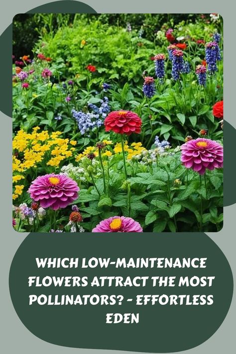 Which low-maintenance flowers attract the most pollinators? - Effortless Eden Shade Pollinator Plants, Pollinator Flower Bed, Native Pollinator Garden Design, Bee Garden Design Layout, Pollinator Garden Layout Zone 5, Flowers That Attract Pollinators, Perennial Pollinator Garden, Shade Pollinator Garden, Small Pollinator Garden