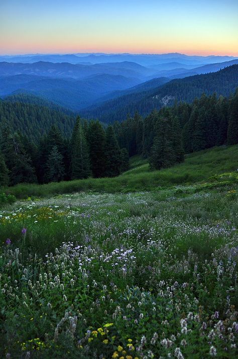 from Mt. Ashland, Oregon at dusk Oregon Adventures, Oregon Mountains, Oregon Life, Ashland Oregon, Beautiful Oregon, Oregon Photography, Oregon Washington, State Of Oregon, Southern Oregon