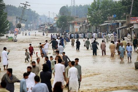 Due to climate change, Pakistan's terrain has transformed since mid-June as a result of severe rain, flooding communities and farms, and demolishing homes. #PakistanFloods #FinanceMinister #GeneralAntónioGuterres #Agreement #WashingtonPost #ClimateChange Flood In Pakistan, Monsoon Rain, Flood Damage, Rich Country, Khyber Pakhtunkhwa, Social Activist, Extreme Weather, The Guardian, Ecology