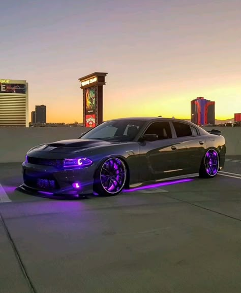 #car #cars #dodge #hellcat nerosgarage📷 Modified Dodge Charger, Dodge Charger Mods, Purple Dodge Charger, Hell Cat Charger, Purple Hellcat, Jeep Doodle, Hell Cat Car, Car Trip Essentials, Hellcat Car