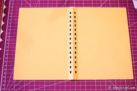 Cinch Album Ideas, Cinch Binding Projects Tutorials, Zutter Bind It All Projects, Bind It All Projects, Zutter Bind It All, Spiral Book Binding, Cinch Projects, Disc Binding, Cinch Binding