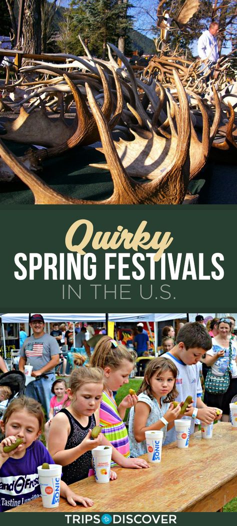 Best Festivals In The Us, Texas Vacation Spots, Cheap Weekend Getaways, Cheese Festival, Peach Festival, Cheap Family Vacations, South Usa, American Festivals, Best Family Vacation Spots