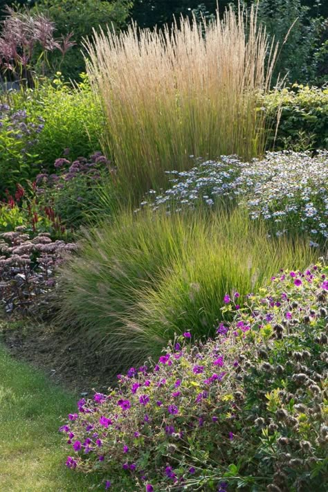 Flower Bed Grasses, Ornamental Grass Landscape, Scandinavian Garden, Naturalistic Garden, Prairie Garden, Front Garden Landscape, Front Garden Design, Grasses Landscaping, Cottage Garden Design