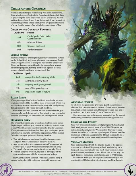 Dnd Druid Subclasses, 5e Classes, Dnd Druid, Dnd Stats, Dnd Stories, D D Classes, Dnd Classes, Dungeon Master's Guide, Dnd Races