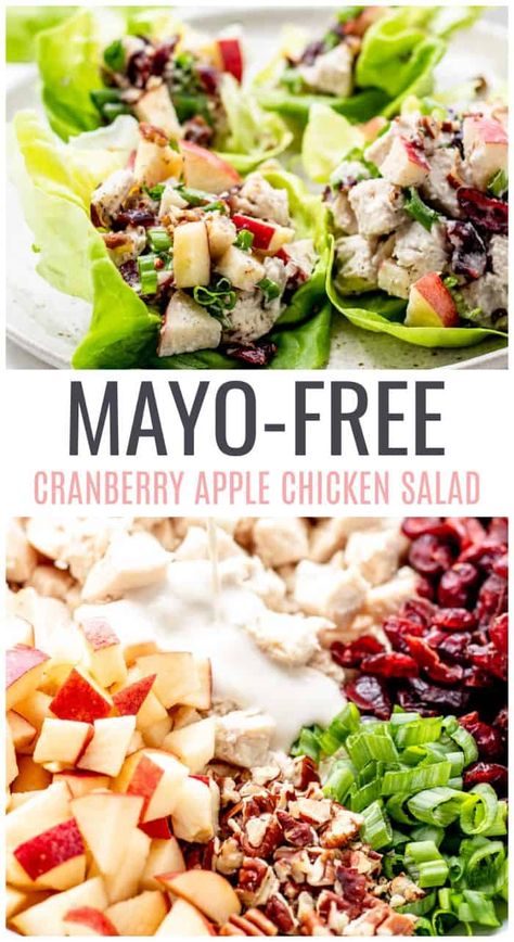 Cranberry Chicken Salad {No-mayo} - Haute & Healthy Living Chicken Salad With No Mayo, Cranberry Chicken Salad Recipe Healthy, Cranberry Apple Chicken Salad, Healthy Chicken Salad No Mayo, No Mayo Chicken Salad Recipes, No Mayo Salads, Chicken Salad Recipe Without Mayo, Chicken Salad Recipe No Mayo, Chicken Salad Without Mayo