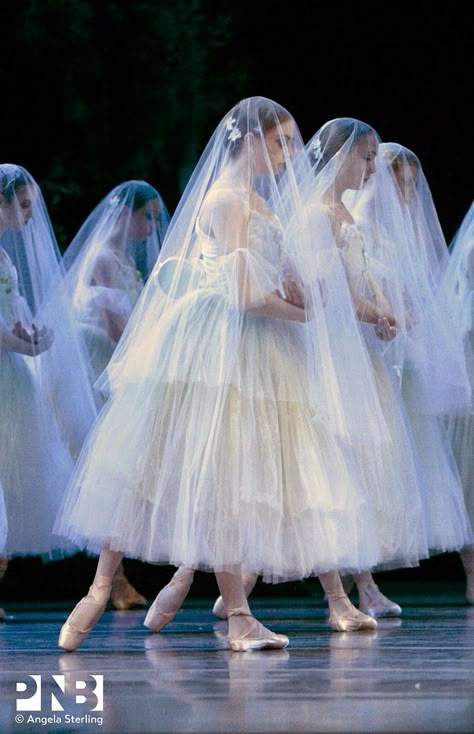 Ballet Veil, Gloomy Forest, Ballet Giselle, Dark And Gloomy, Svetlana Zakharova, Ballet Russe, Anna Pavlova, Ballet Aesthetic, Ballet Beauty