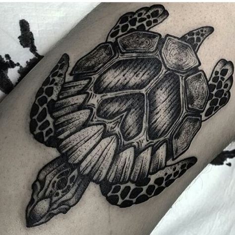 Turtle Shell Tattoo Design, Turtle Skull Tattoo, Turtle Skull, Tattoo Turtle, Skull Tattoo Ideas, Butterfly Tattoo Ideas, Sea Turtle Tattoo, Shell Tattoos, Turtle Tattoo