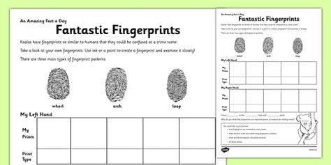 Children investigate their fingerprints and learn about their use. Fingerprint Activity, Types Of Fingerprints, Opposites Worksheet, 6th Grade Activities, Mystery Writing, Kindergarten Worksheets Printable, Merit Badge, Free Teaching Resources, Play Based Learning