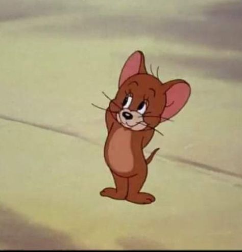 Cartoon Tom And Jerry, Tom And Jerry Show, Tom And Jerry Funny, Tom And Jerry Pictures, Tom And Jerry Wallpapers, Jerry Cartoon, Tom Et Jerry, Funny Tom, Tom And Jerry Cartoon