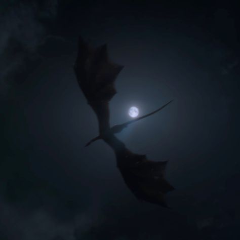 house of the dragon icon Queen Of Dragons Aesthetic, House Of Dragon Icon, Dragon Aesthetic Black, Dragon Shifter Aesthetic, Wyvern Aesthetic, Dragon Core Aesthetic, House Of Dragons Aesthetic, House Of The Dragon Pfp, Dragon Icon Aesthetic