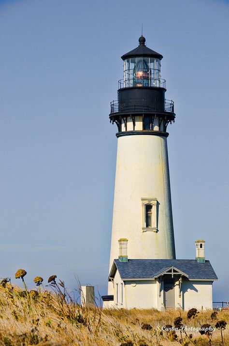 Oregon Life, Lighthouses Photography, Lighthouse Photos, Lighthouse Painting, Lighthouse Pictures, Lighthouse Art, Beautiful Lighthouse, Beacon Of Light, Light Houses