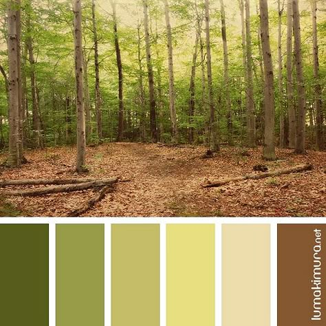 Mid Century Bohemian, Painting Corner, Acrylic Tutorials, Sea Can, Color Palette Challenge, Forest Color, Color Schemes Colour Palettes, Nature Color Palette, Urban Park