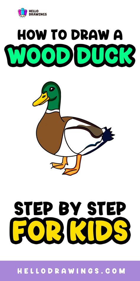 How to Draw a Wood Duck | Simple Guide for Kids How To Draw A Duck Step By Step Easy, How To Draw A Duck Step By Step, Draw A Duck, Mallard Duck Drawing, How To Draw A Duck, Duck Drawing, Easy Animal Drawings, Easy Animals, Drawing Tutorials For Kids