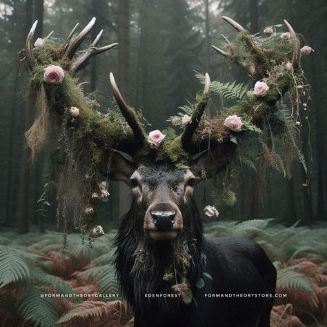 • • He liked the way the moss gently whispered in the breeze. He was a rare black beauty. Title: EdenForest. © 2024 C. Laine Dos Santos #formandtheory #clainedossantos #formandtheorygallery #formandtheoryart #stag #stags #black #deer #deerofinstagram #blackdeer #roses #floral #flowers #flowersofinstagram #moss #formandtheorystore #artistsoninstagram Faux Deer Head, Taxidermy Deer, Deer Mounts, Black Deer, White Reindeer, Taxidermy Art, Fb Cover Photos, Fb Cover, Winter Solstice