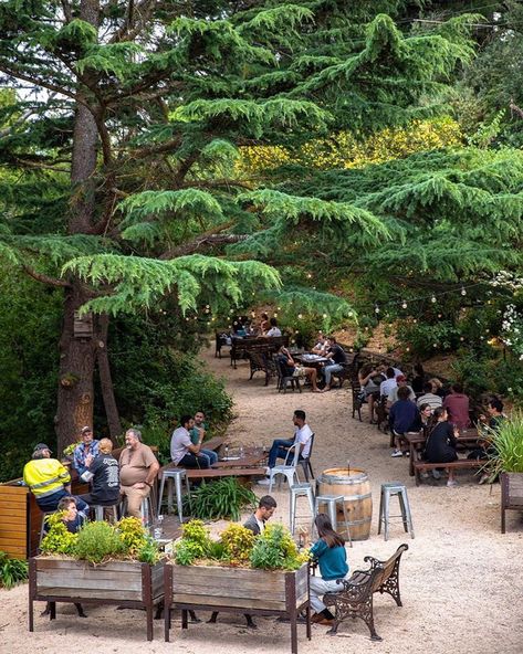 The Best Pubs In Adelaide For a Purse-friendly Feed | Sitchu Adelaide Outdoor Beer Garden, The Sound Of Waves, Best Pubs, Full Time Travel, Adelaide South Australia, Beer Garden, Lush Greenery, South Australia, West End