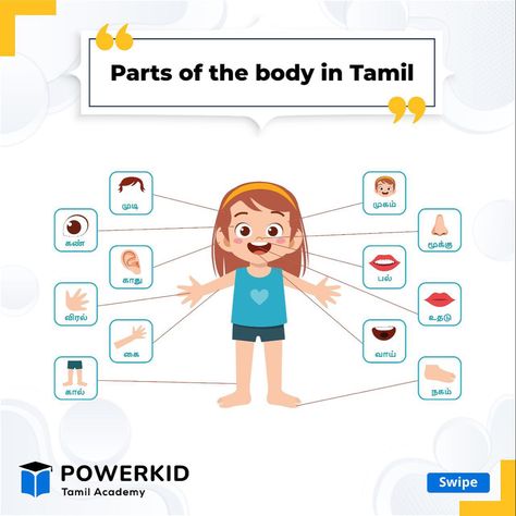 Learn the parts of the body in Tamil! Wondering how to make a basic conversation in Tamil? Watch the space as we guide you through the basics. This would help you to learn spoken Tamil in English. Sign up to our Online Tamil classes at www.powerkidtamil.com Learn Tamil from native Tamil speakers! We help you learn Tamil easily and effectively through Tamil English conversation as all our classes are one-on-one. Students get an opportunity to interact with the teacher and learn hands-on ! Learn Tamil, English Conversation, Tamil Language, Parts Of The Body, Online Tutoring, The Teacher, The Basics, The Body, Hands On