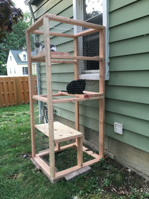 Catio! Simple outdoor cat enclosure using a few 2x4 and chicken wire! Total cost around $100 Cat Playground Diy, Diy Cat Enclosure, Cat House Plans, Cat Playground Outdoor, Katt Grejer, Kat Diy, Cat Patio, Cat Cage, Outdoor Cat Enclosure