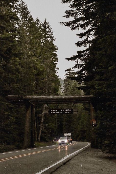 Pnw Aesthetic, Couture Photography, Twilight Vibes, Dark Naturalism, Twilight Aesthetic, Mount Rainier National Park, After Life, Elopement Wedding, Seattle Washington