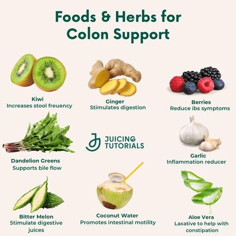 Colon Support Colon Cleansing Foods, Cleansing Foods, Healthy Colon, Gut Health Diet, Health Herbs, Chronic Constipation, Fertility Health, Colon Health, Colon Cleansing