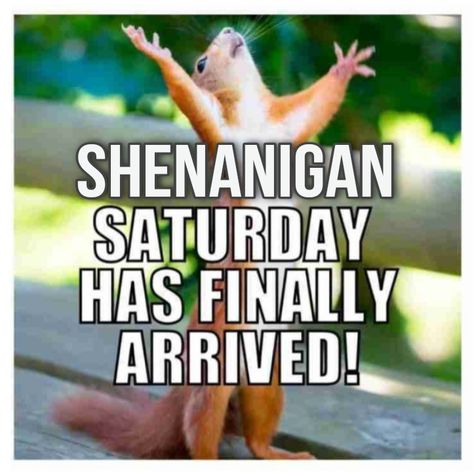 Saturday Drinking Humor, Saturday Memes Hilarious, Saturday Funny Humor, Saturday Memes, Drinking Memes, Saturday Vibes, Fall Morning, Backgrounds Phone, Drinking Party