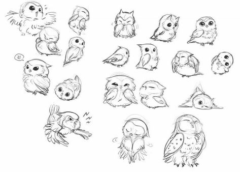 Animal Tattoo Ideas, Baby Owl, Owls Drawing, Character Design Sketches, Animal Sketches, Character Design Animation, Bird Drawings, Cartoon Character Design, Book Art Drawings