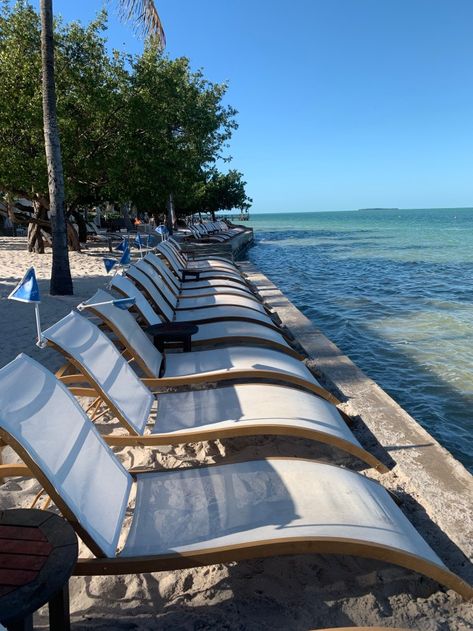 Bakers Cay Resort, Florida Keys Resorts, Fire Pit Seating Area, Pool At Night, Key Largo Florida, Usa Florida, Family Pool, Fire Pit Seating, Resort Pools