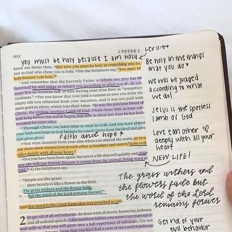 1 Peter 1 Bible Journaling, 2 Peter Bible Study, 2 Peter 2 Bible Journaling, 1 Peter 2 Bible Journaling, 1 Peter 3: 8-9, Peter Bible, 1 Peter 5:7 Bible Journaling, Studying Scripture, 1 Peter 5