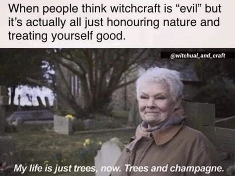 Witch Jokes, Witch Spirituality, Practical Magic, Witchy Woman, Old Soul, Spell Book, Graveyard, Mood Pics, Make Me Smile