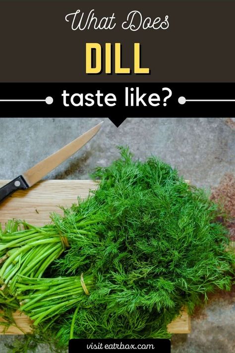 However, many are still unaware of what exactly dill is, what does dill taste like, or the different ways to use dill. Yogurt Sauces, Dill Recipes, Food Knowledge, Potato Salads, Marinate Meat, Healthy Herbs, Dill Pickles, Caraway Seeds, Yogurt Sauce