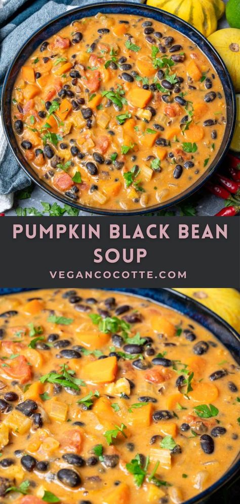 Hearty Vegetarian Soups And Stews, Easy Vegan Soups And Stews, Vegetarian Bean Soup Recipes Crockpot, Vegan Soup Beans, Delicious Healthy Soup Recipes, Old Bay Soup, Black Bean Barley Soup, Bean Squash Soup, Black Bean Enchilada Soup