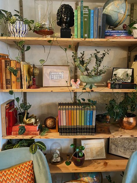 Plants On Bookshelf, Funky Bookshelf Decor, Bookshelf Maximalist, Bookshelf Decor Maximalist, Maximalist Shelf Decor, Maximalist Shelf, Shelf Decor Living Room Maximalist, Maximalist Bookshelf, Eclectic Shelf Decor