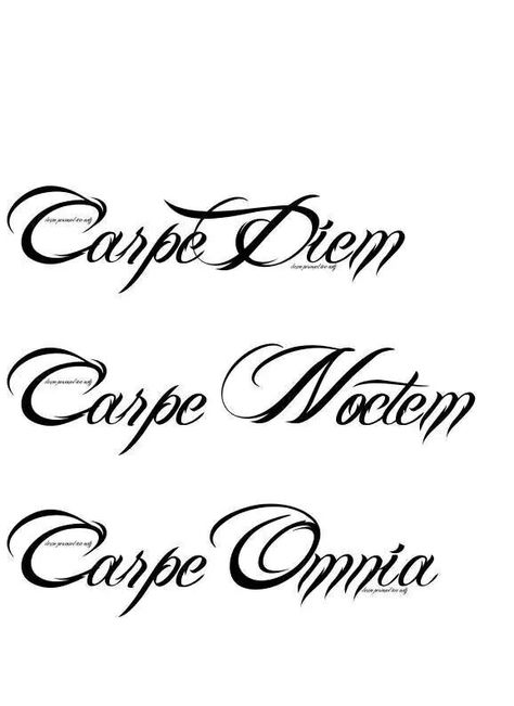 Love this Carpe Noctem Tattoo, Crown Clip Art, Pop Art Tattoos, Carpe Noctem, Peacock Tattoo, Cross Tattoos For Women, Latin Quotes, Fantasy Tattoos, Latin Phrases