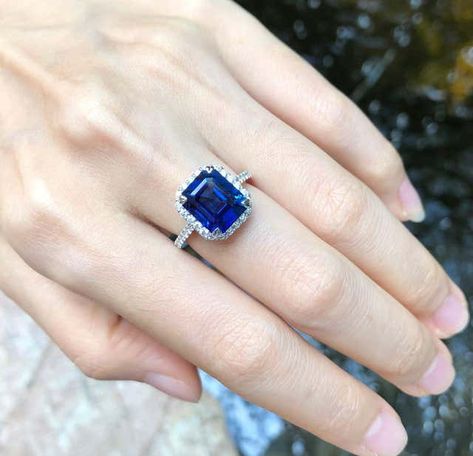 $38,000.00 Ceylon Blue Sapphire, Shiny Things, I Love Jewelry, Blue Sapphire, Diamond Ring, Platinum, Sapphire, Ring, Blue