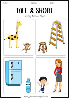 Tall and Short worksheets for kids | Pre-Math Concept Worksheet For Nursery, English Preschool, Worksheet For Nursery Class, Lkg Worksheets, Kindergarten Math Worksheets Addition, Nursery Worksheets, Tall And Short, Preschool Activities Printable, Alphabet Chart