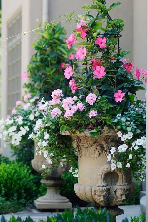 French Country Garden Decor, Country Garden Decor, Container Garden Design, نباتات منزلية, French Country Garden, Container Gardening Flowers, Cottage Garden Design, Garden Urns, Cement Planters