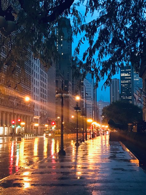 Novo Reels, Rainy Chicago, Neighborhood Aesthetic, Pretty Background, Chicago Pictures, Chicago Street, Rainy Morning, Planets Wallpaper, Blur Photo