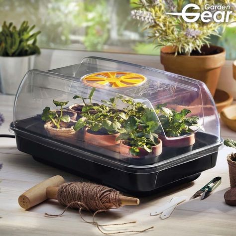 Garden Gear Heated Propagator | Dobies What To Plant In January, Seed Growing, Seed Starter Kit, Grow From Seed, Fruit Bushes, Seedling Pots, Paper Pot, Gardening Gear, Seed Starter